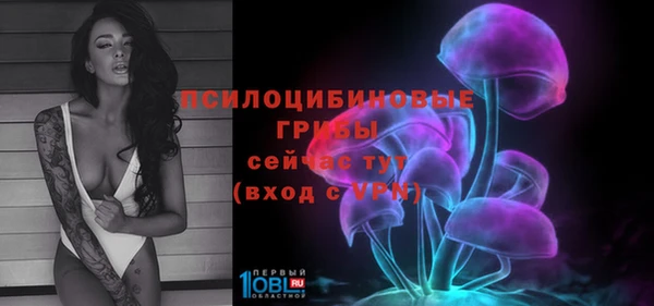 ECSTASY Беломорск