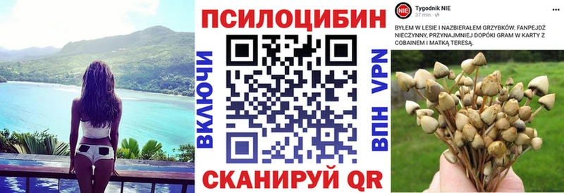 что такое   Малоярославец  Галлюциногенные грибы Cubensis 